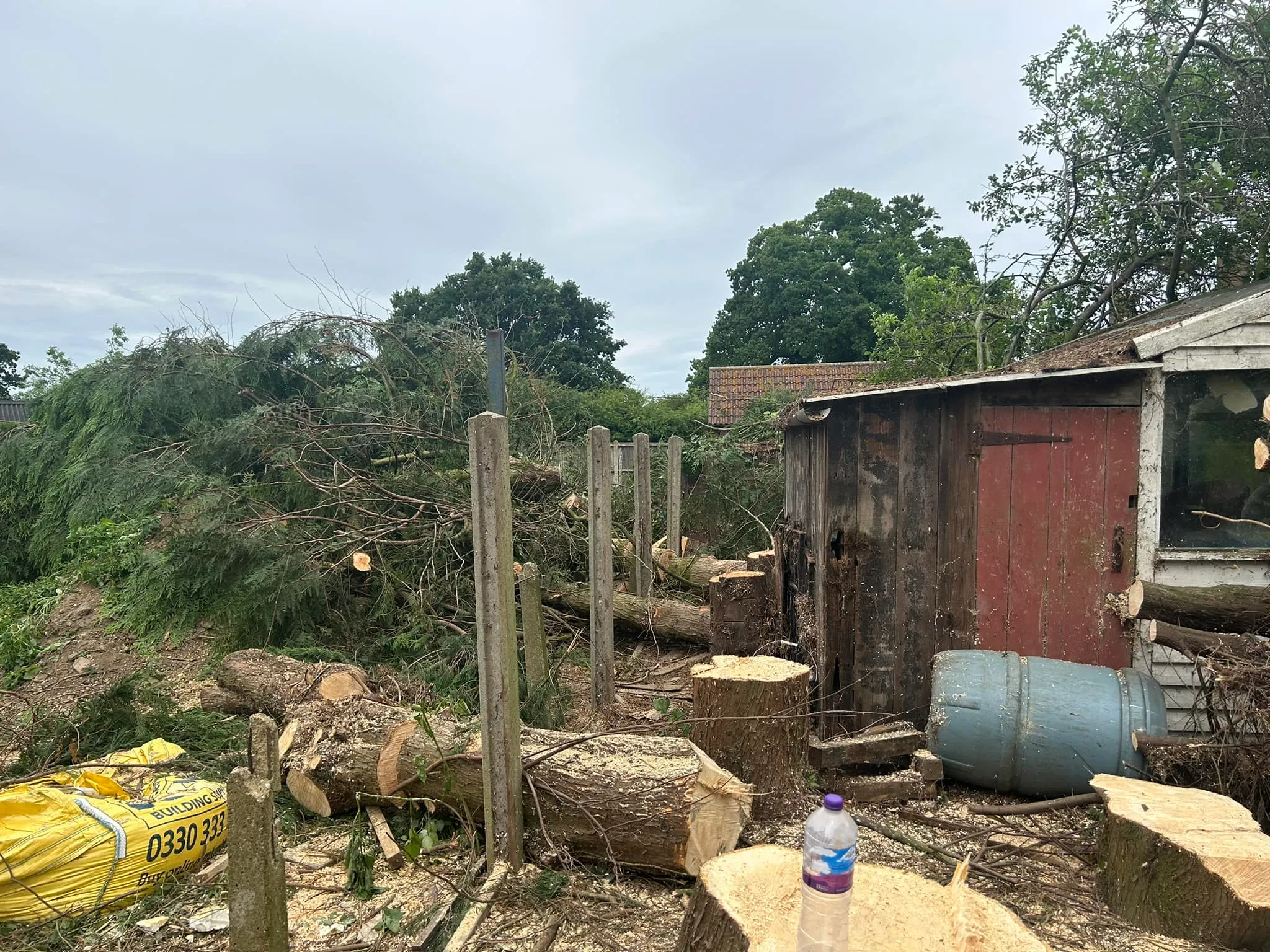 Tree felling and site clearance in North Norfolk