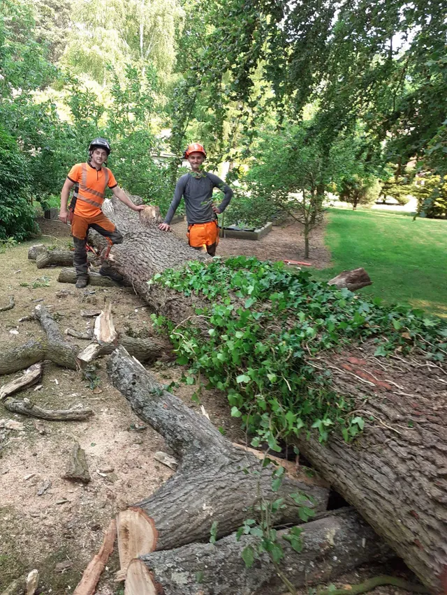 Isaac, owner of Norfolk Arboricultural Services, with a felled tree
