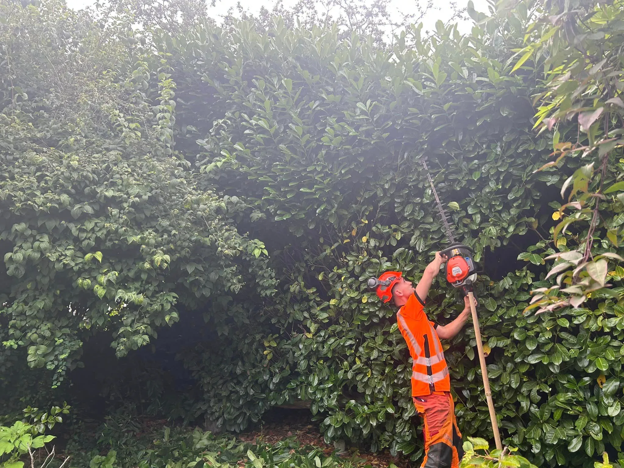 Isaac carrying out hedge trimming, North Norfolk