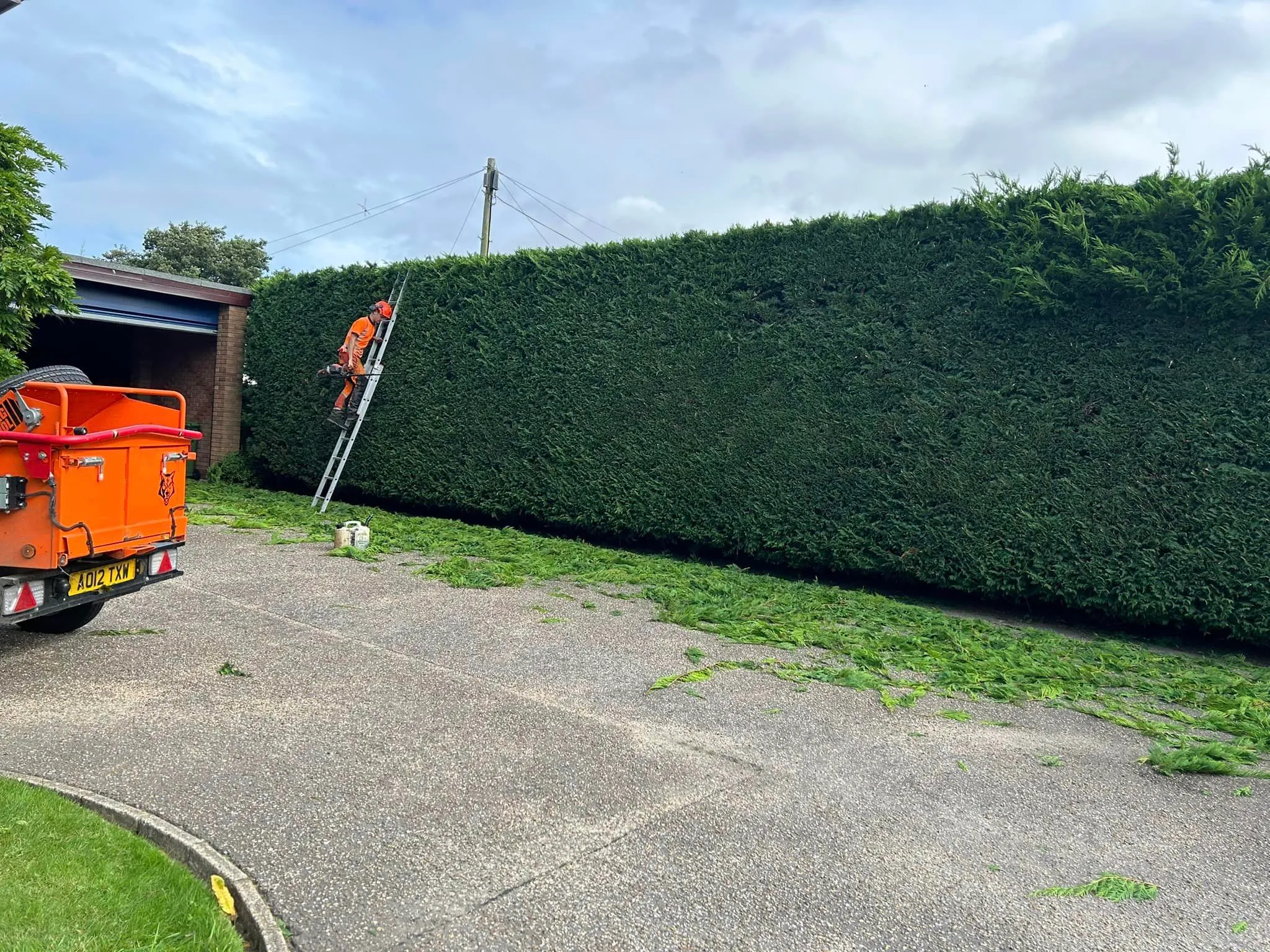 Hedge trimming results, North Norfolk hedge cutting service