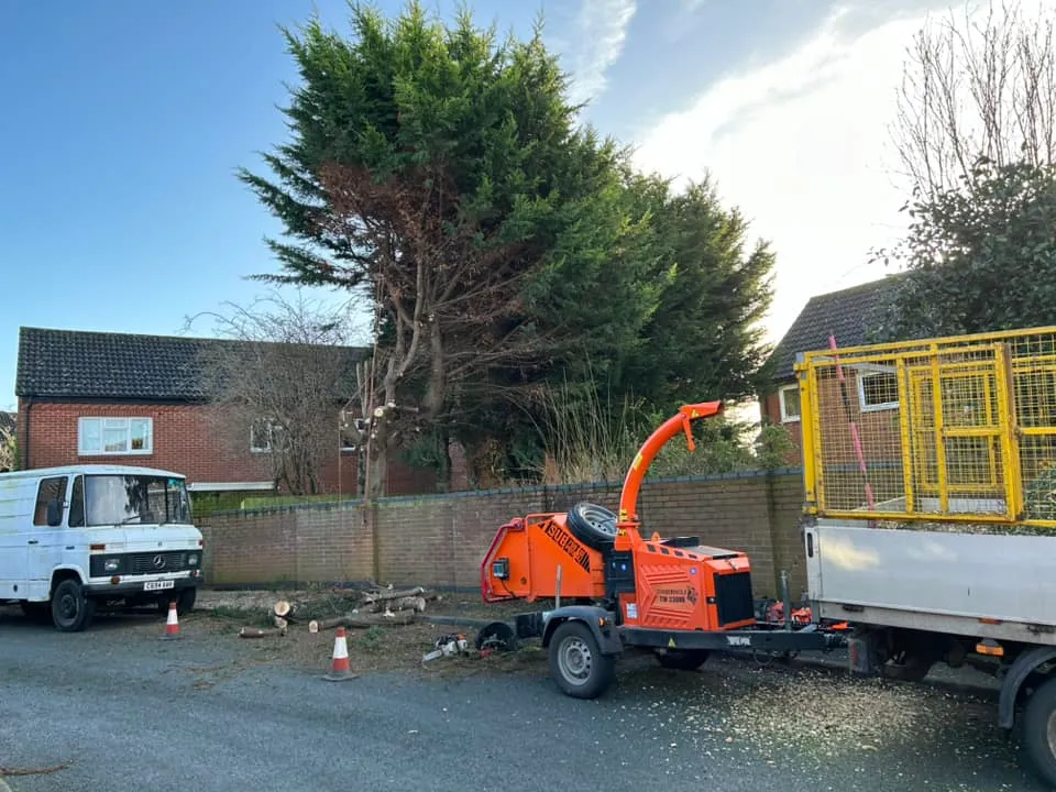 Tree limb chipping and debris clearance in North Norfolk